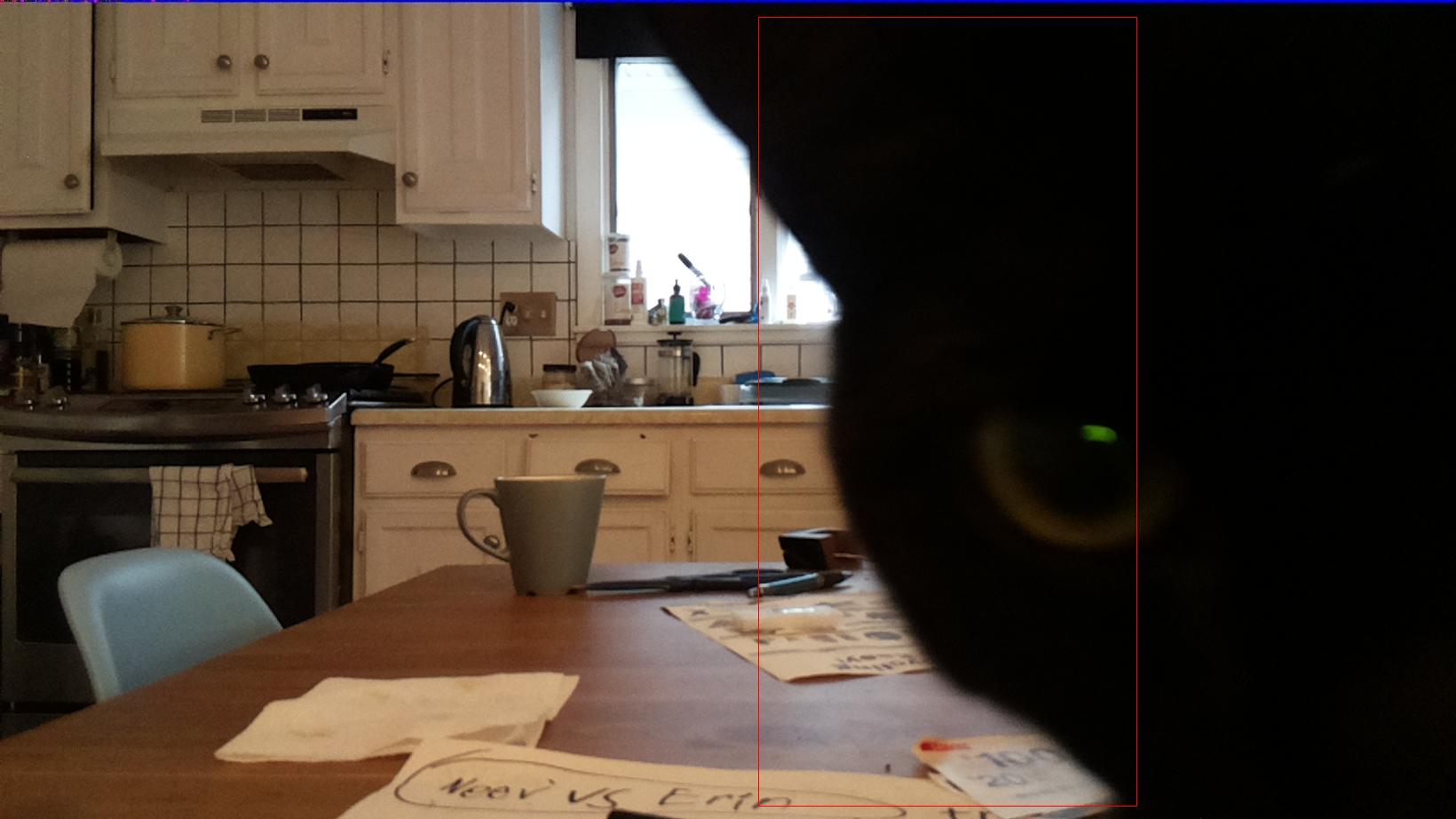 7-after_detection