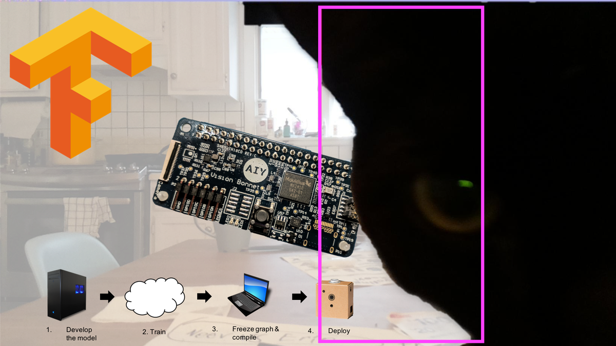 Computer Vision Training, the AIY Vision Kit, and Cats