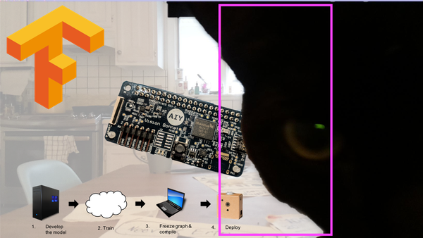 Computer Vision Training, the AIY Vision Kit, and Cats